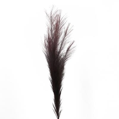 China Guaranteed Hot Selling Natural Touch Quality Hierba Pampas Popular Fake The Great Artificial Light Gray Pampas Grass for sale