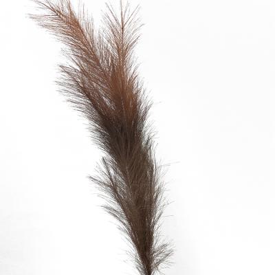 China China Natural Professional Manufacture Popular Dry Touch Flower The Great Pampas Grass 115cm Artificial for sale