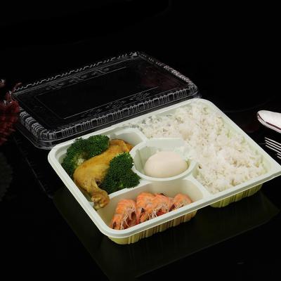 China Large Clear Take Away Plastic Food Container Bento Box Food Packaging Plastic Tray for sale