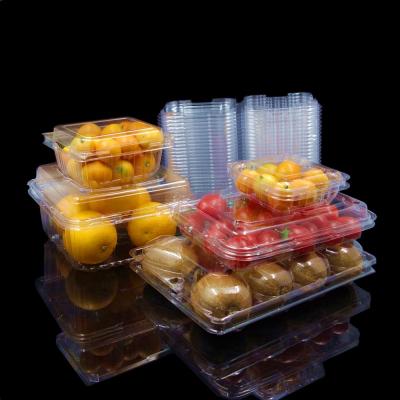 China Custom Disposable Clamshell Plastic Fruit Packaging Container Disposable for sale