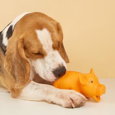 China Stocked pig design dog pets toy and accessories for sale