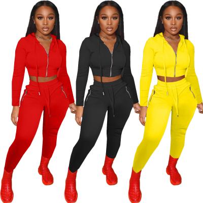 China 2021 New Arrival Breathable Sweatsuit For Women's Sportswear Women's Clothing Autumn Splice Two Piece Set Line for sale