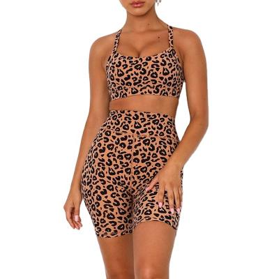 China 2021 Breathable New Arrive Women Yoga Teams 2 Piece Set Workout Sporty Leopard Print Shorts Leggings And Sports Bra Set Gym Clothes for sale