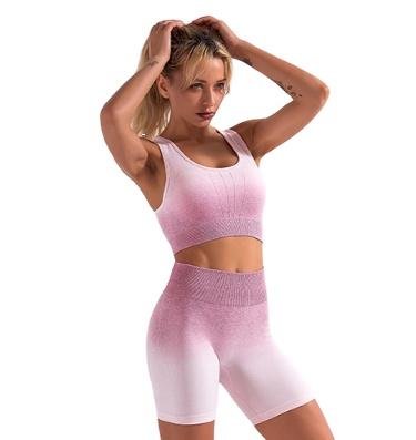 China 2021 Ladies Activewear Gym Wear Workout Clothing Breathable Seamless Sporty Yoga Set For Women Female Yoga Set for sale