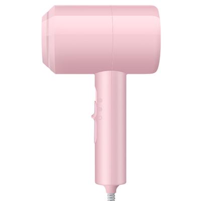 China 2021 New Household Ionic Hair Dryer Cold And Hot Air Anion Hair Blow Dryer Portable Blow Dryer for sale