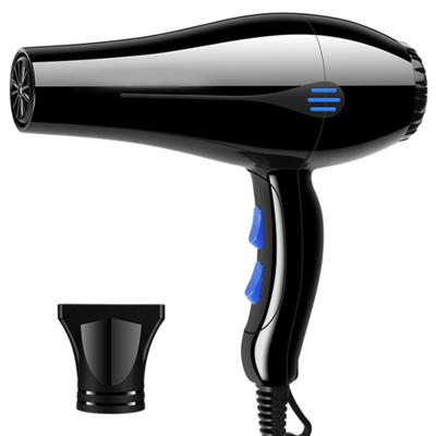 China 2021 Professional Household Anion Salon Hair Dryer Electric Blow Dryer Ionic Hair Dryer for sale