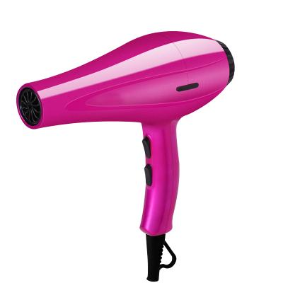 China Salon Hair Dryer Blow Dryer Household Ionic Professional Fast Drying Hair Blow Dryer for sale