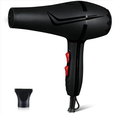 China 220V Household Hair Blow Dryer High Power Hair Dryer Ionic Hot Selling Fast Drying Salon Blow Dryer for sale