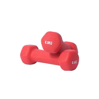 China Wholesale Universal Hot Selling Fitness Equipment Men's Home Women Dip Plastic Dumbbells for sale