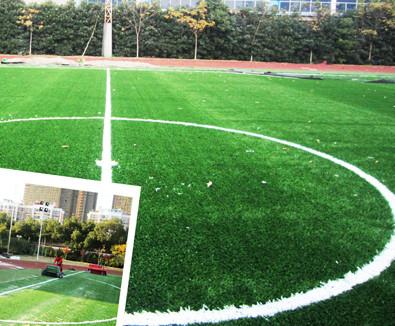 China Chinese factor sell high quality and low prices Artificial turf.Artificial football turf Golf for turf for sale