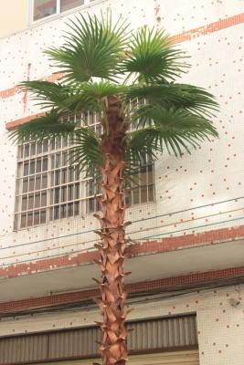 China Whosale high simulation artificial palm tree for shopping mall or amusement park decoration for sale