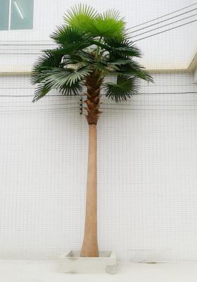 China Factory best selling indoor outdoor artificial palm tree, artificical big tropical trees, artificical plants manufactory for sale