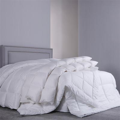 China Free Sample Anti-allergy Down Comforter Thick Insert Comforter Hotel Collection Luxury Hotel Top Quality for sale