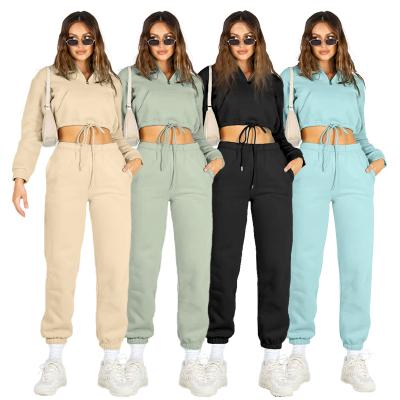 China Wholesale Women's Top Two Piece Sets Anti-pilling Crop Hoodies Autumn Winter Women Fashion Causal Tracksuit Set for sale