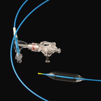 Chine Dilatation médicale de cathéter de ballon pour la certification de la CE de tube digestif à vendre