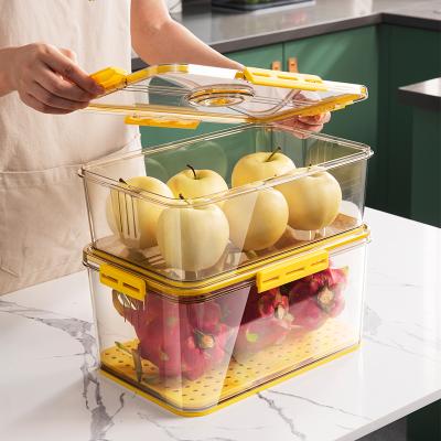 China Freshness preservation kitchen wholesale home pet foodstorage plastic box container for refrigerator for sale