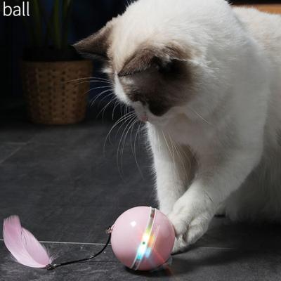 China Viable Funny Smart Interactive Toy Electric Cat Toys Set With USB Charging for sale