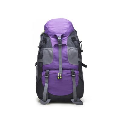 China Water Resistant Camping Backpack Outdoor Trekking Bag Waterproof Sports Backpack For Man for sale