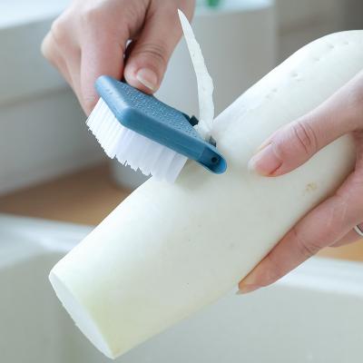 China 2021 New In 1 Multifunctional Plastic Veggie Peeler 5 Home Kitchen Design Garlic Potato Peeler With Brush for sale