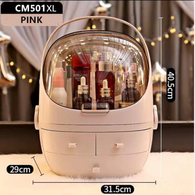 China ABS Viable Home Modern Jewelry Accessories Amazon Success Storage Display Boxes Lipsticks Makeup Storage Cosmetic Drawer for sale