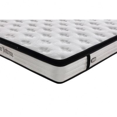 China Customized Modern Style Hypoallergenic Vacuum Pack Quilted Protector Double Size Mattress for sale