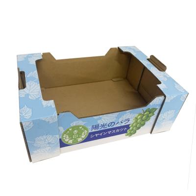 China Recyclable Custom Corrugated Dry Fruit Gift Box Presentation Box Full Color Printed Fruit Cardboard Box for sale