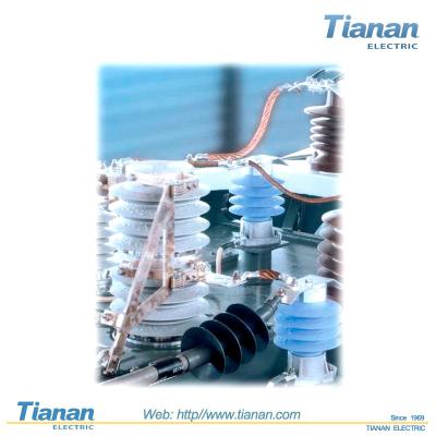 중국 TIANAN 큰 파도 피뢰기 중간 전압 철도, HV 짐 스위치를 위한 12 KV 판매용