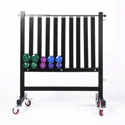 China Modern Fitness Gym Equipment Vinyl Dumbbell Rack Dumbbell Storage Rack with Wheels for sale