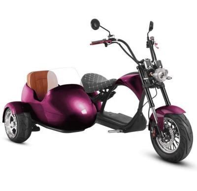 China Unisex USA Store Cheap Electric Ebike Sidecar Tricycle Bike With Long Range Distance Sidecar For Sale Hot Dog Cart for sale