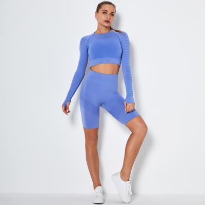 China High Quality Breathable New Style Women Yoga Sets Sports Long Sleeve Tops And Shorts Gym Workout Sets for sale