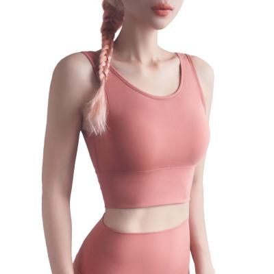 China Breathable Ladies Sports Wears Yoga Underwear Women Gym Workout Vest Quick-drying Running Crop Tops for sale