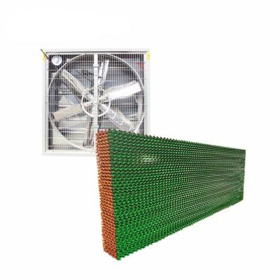 China Farms ZRSL Greenhouse Cultivating Poultry Pad Cooling for sale