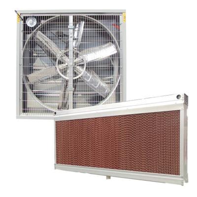 China Greenhouse Protection - Evaporative Fan System For Greenhouse Cooling for sale