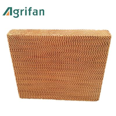 China China Paper Agricultural Greenhouse Cooling Pad, Refrigeration Cooling Pad, Honey Cooling Pad for sale