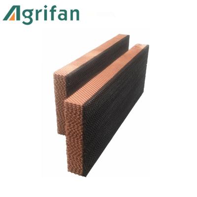 China Greenhouse Cooling Systems China Brand 7090 Honey Comb Cooling Pad And Fan, Evaporative Cooling Pad, Greenhouse Cooling Pad for sale