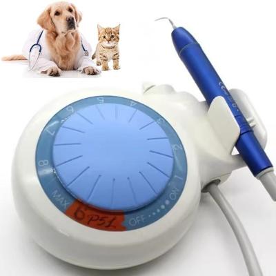 China Dispositivo de limpieza dental de dientes de ultrasonido Dental Scaler LED Mascotas Dental Scaler ultrasónico en venta