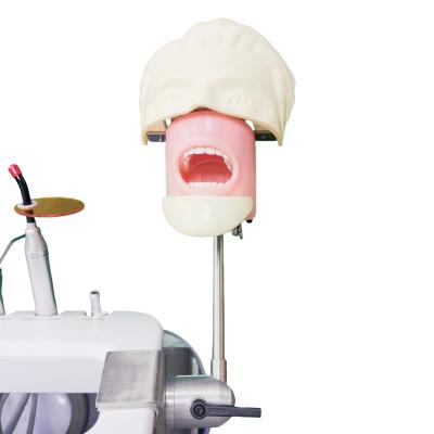 China Dental School Phantom Head For Dental Student Study Model Dental Phantom Head Unit for sale