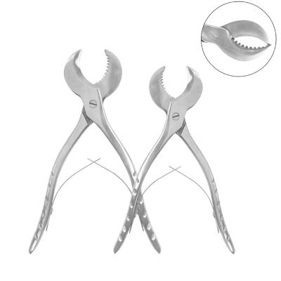 China Stainless Steel Dental Forceps Gypsum Plaster Scissors Dental Pliers With Serrated Blade for sale