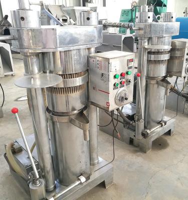 China Hotels Cold Press Oil Extraction Machine Olive Sunflower Seeds for sale