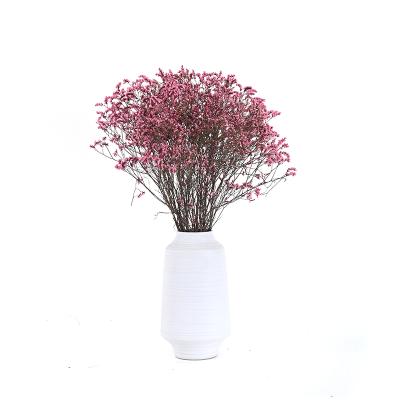 China Real and Natural Real and Natural Touch Popular CIA Dry Flower Forget Me Plus Unpreserved Crystal Grass Flower for Home Decoration and Wedding for sale