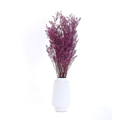 China Hot Selling Non-Toxic Popular Institute of Statistics Dried Flowers Non-Toxic Preserved Lovergrass for Wedding Home Decoration for sale