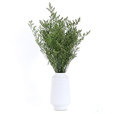 China Florist For Flower Summer Dry Flower Limonium Arrangement Non-Toxic Wholesale Non-Toxic Flora Lovergrass Natural Decorative Flowers for sale