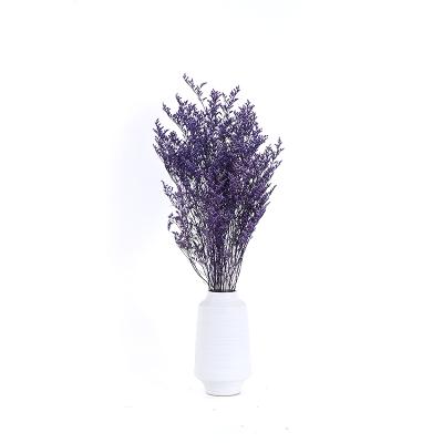 China Non - Toxic Dry Flowers Wedding Party Hotel Home Decoration Preserved Lovergrass for sale