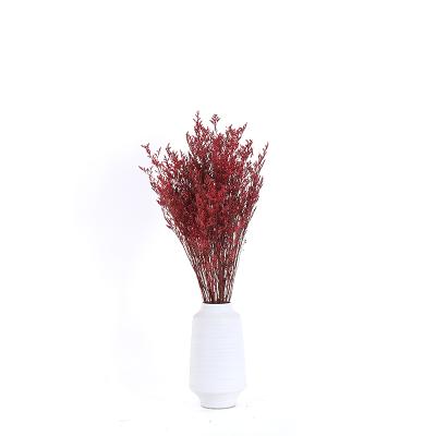 China Valentine Grass Lovergrass Dried Flowers Non-Toxic Preserved Bouquet Dried Limonium Non-Toxic For Window Display for sale