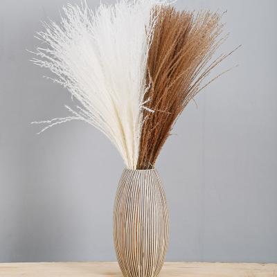 China Wholesale Prinary Natural Touch Natural Touch Color 50-90cm 30cm White Feathers Dried Flowers Pampas Grass Ponytail Dried Beater For Wedding Decoration for sale