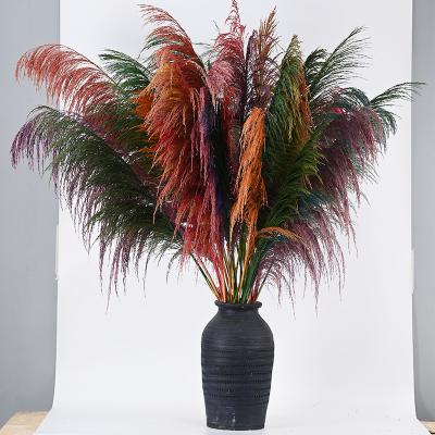 China Wholesale Eco-Friendly Natural Preserved Flower Decor Large Flower Decor Pampas Grass Flower Decor for sale