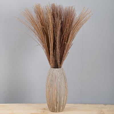 China Flora Wholesale Florist Supplies Natural Touch Summer Natural Flower Ponytail Decorative Dry Beater For Flower Bouquet for sale