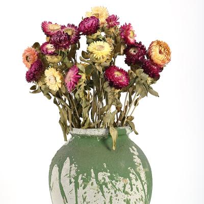 China Natural Preserved Dried Eco - Friendly Flower Bouquets High Quality Eco - Friendly Handmade Chrysanthemum For Decor for sale