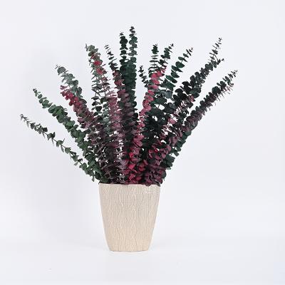 China Modern Modern Plant Outlet Natural Artificial Eucalyptus Leaves For Decoration for sale