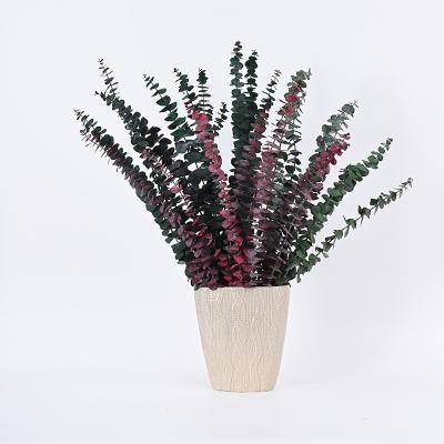 China Modern Elegant Style Modern Preserved Dried Flower Eucalyptus Leaves Bouquet For Sale for sale